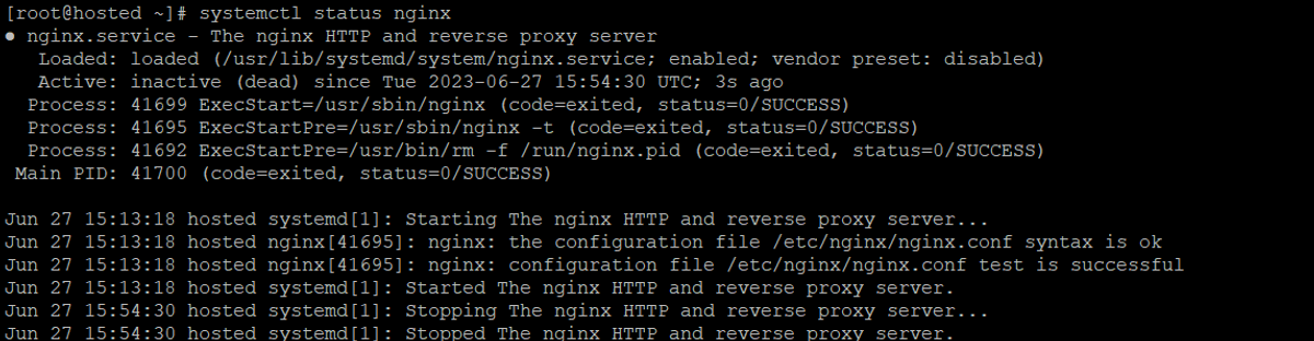 nginx service status