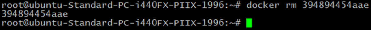 docker rm container command in linux