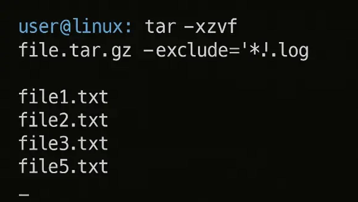 Exclude Files During Extraction