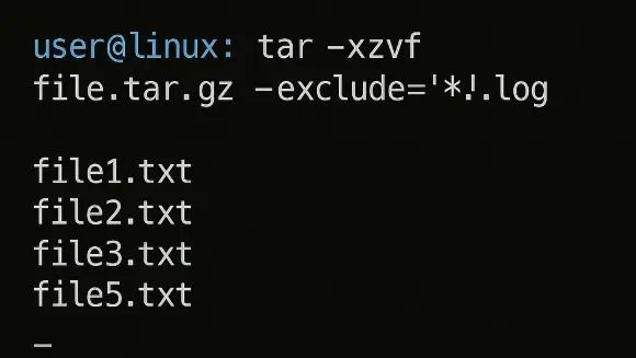Exclude Files During Extraction