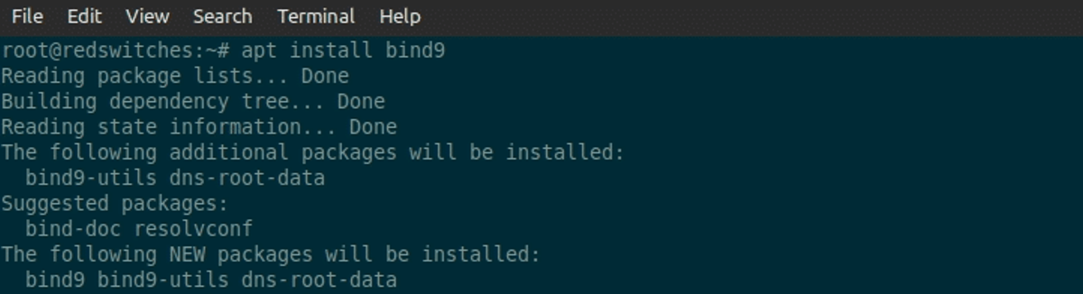 Install the BIND9 Package on Ubuntu visual