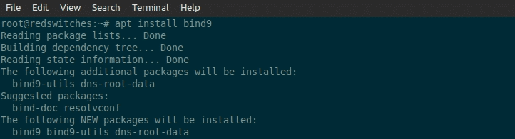 Install the BIND9 Package on Ubuntu visual