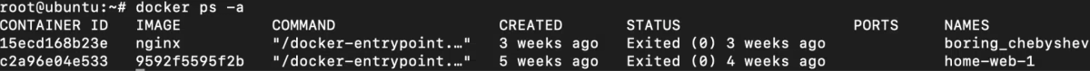 docker ps -a