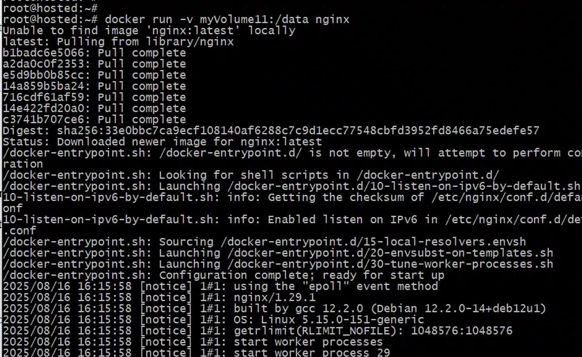 # docker run -v myVolume11:/data nginx