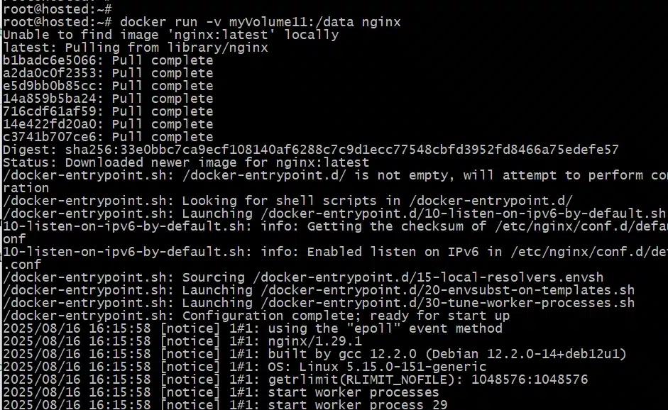 # docker run -v myVolume11:/data nginx