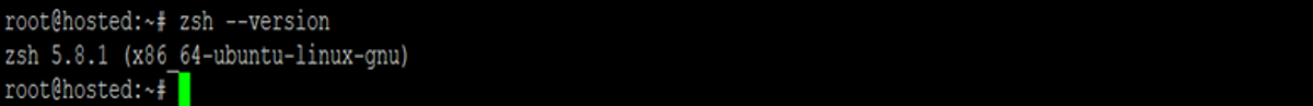 zsh version