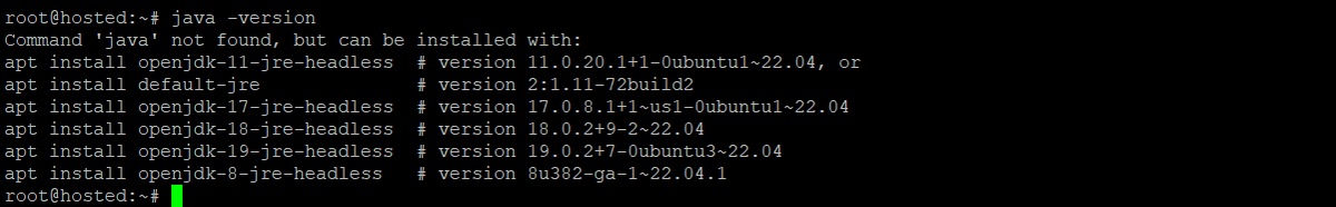 java -version