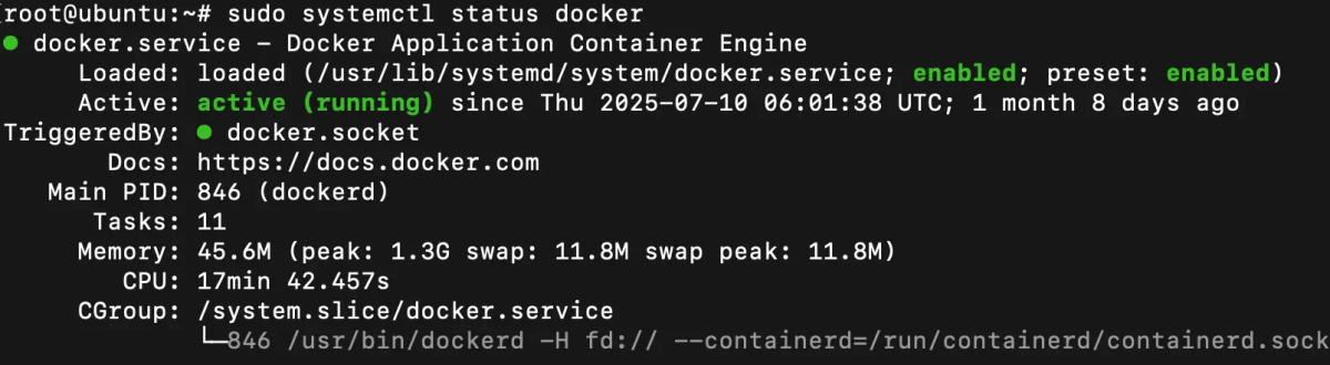 sudo systemctl status docker