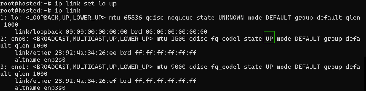 # ip link set lo up