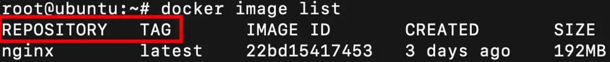 REPOSITORY and TAG