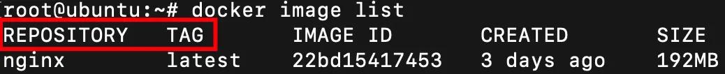 REPOSITORY and TAG