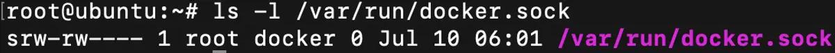 ls l var run docker sock