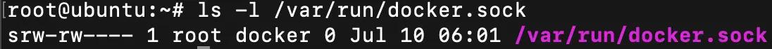 ls l var run docker sock