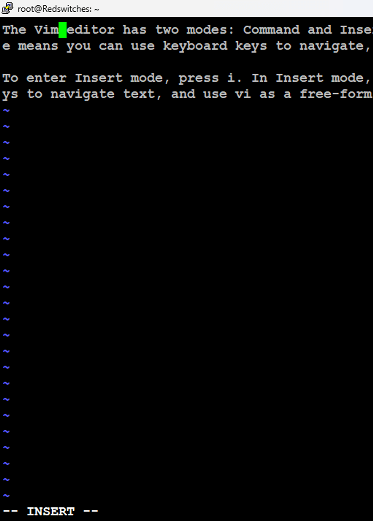 vim editor