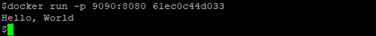 Run a Container With Exposed Ports