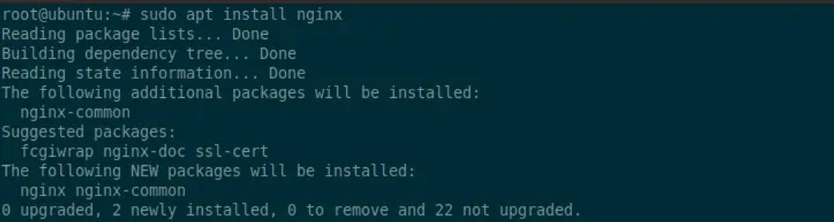 sudo apt install nginx