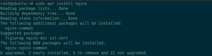 sudo apt install nginx