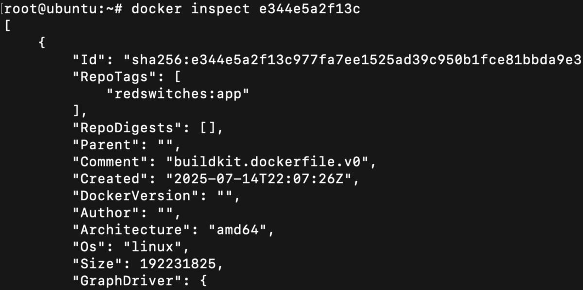 docker inspect e344e5a2f13c