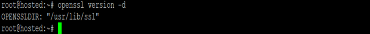 open SSL Version -d