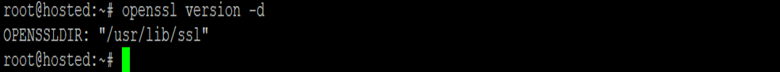 open SSL Version -d