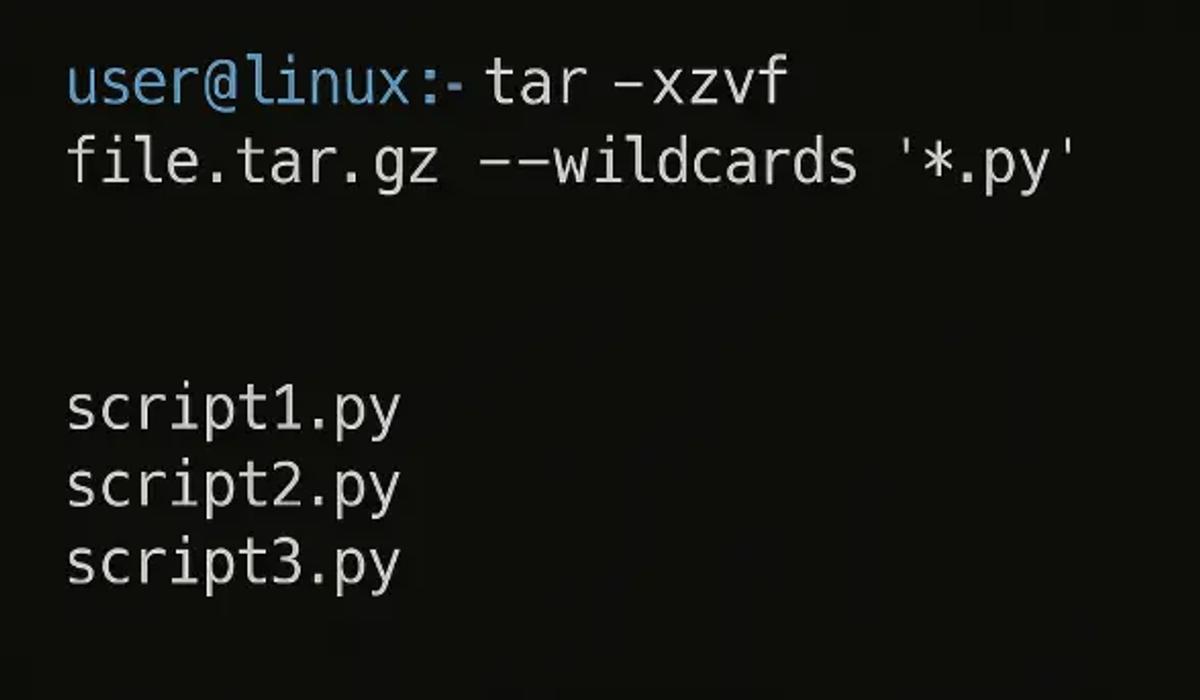 Use Wildcards During Extraction