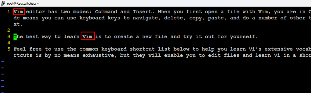 vim editor 4
