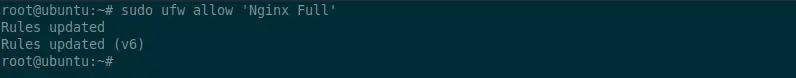 sudo ufw allow 'Nginx Full’