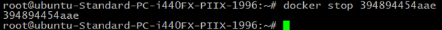 docker container command in linux