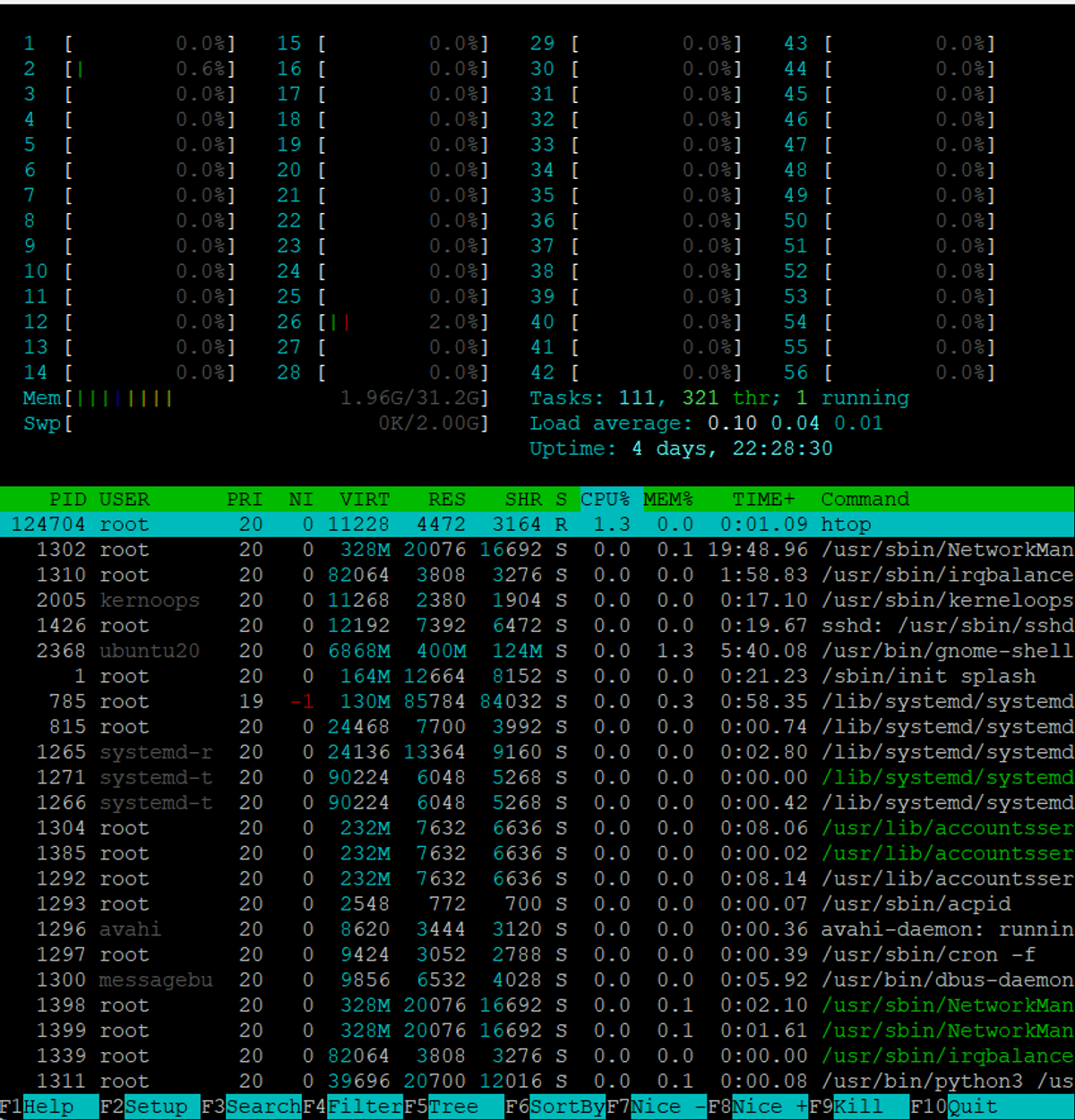 htop Command to See Each Process's Memory Load
