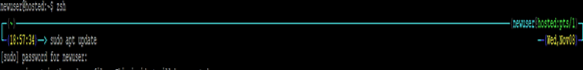 new user hosted zsh 2
