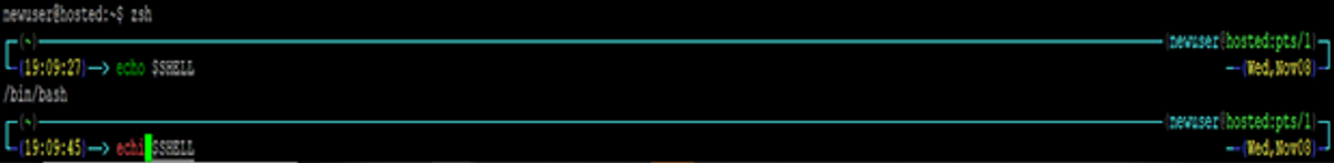 new user hosted zsh $
