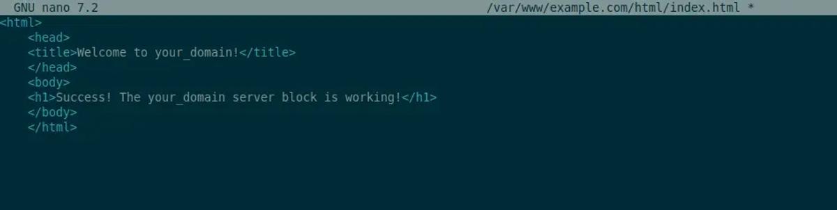 sudo nano