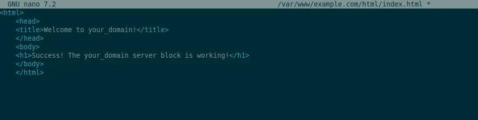 sudo nano