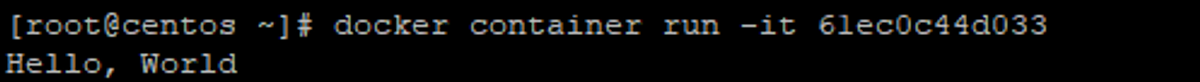 Run a Container in the Interactive Mode