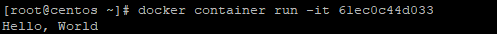 Run a Container in the Interactive Mode