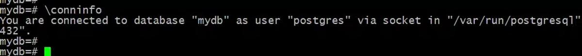 conninfo