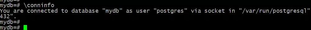 conninfo