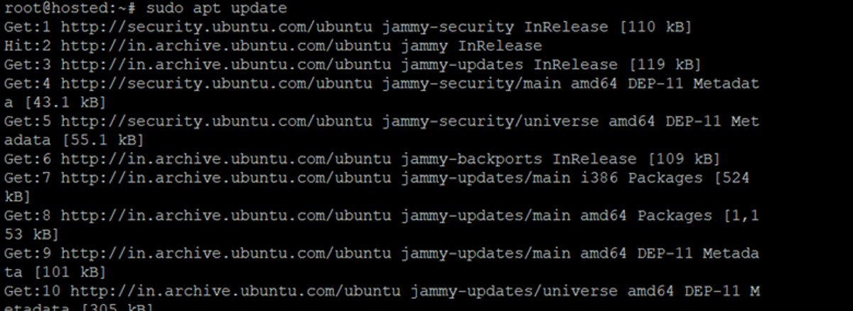 sudo apt update