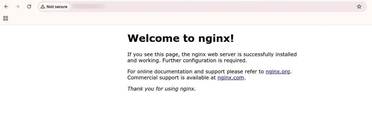 Verify NGINX Web Server is Running