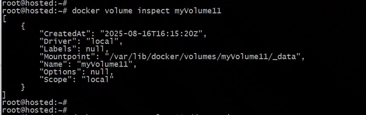 Inspect Docker Volumes
