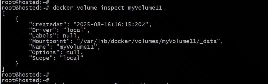 Inspect Docker Volumes