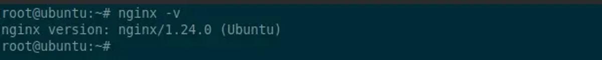 nginx -v