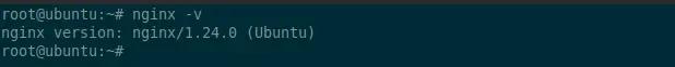 nginx -v