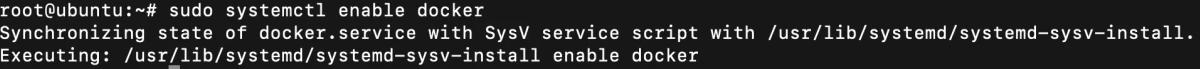 sudo systemctl enable docker
