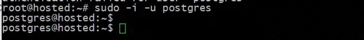 sudo -i -u postgres