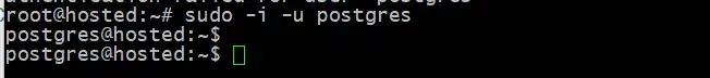 sudo -i -u postgres