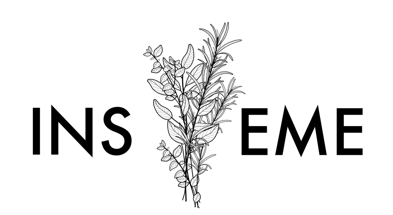 Logo Insieme.png