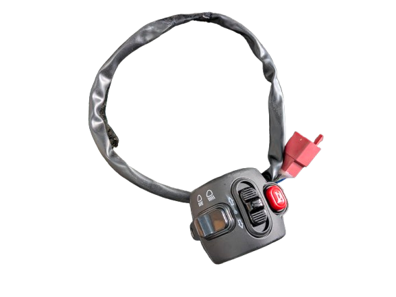 Left Switching Group