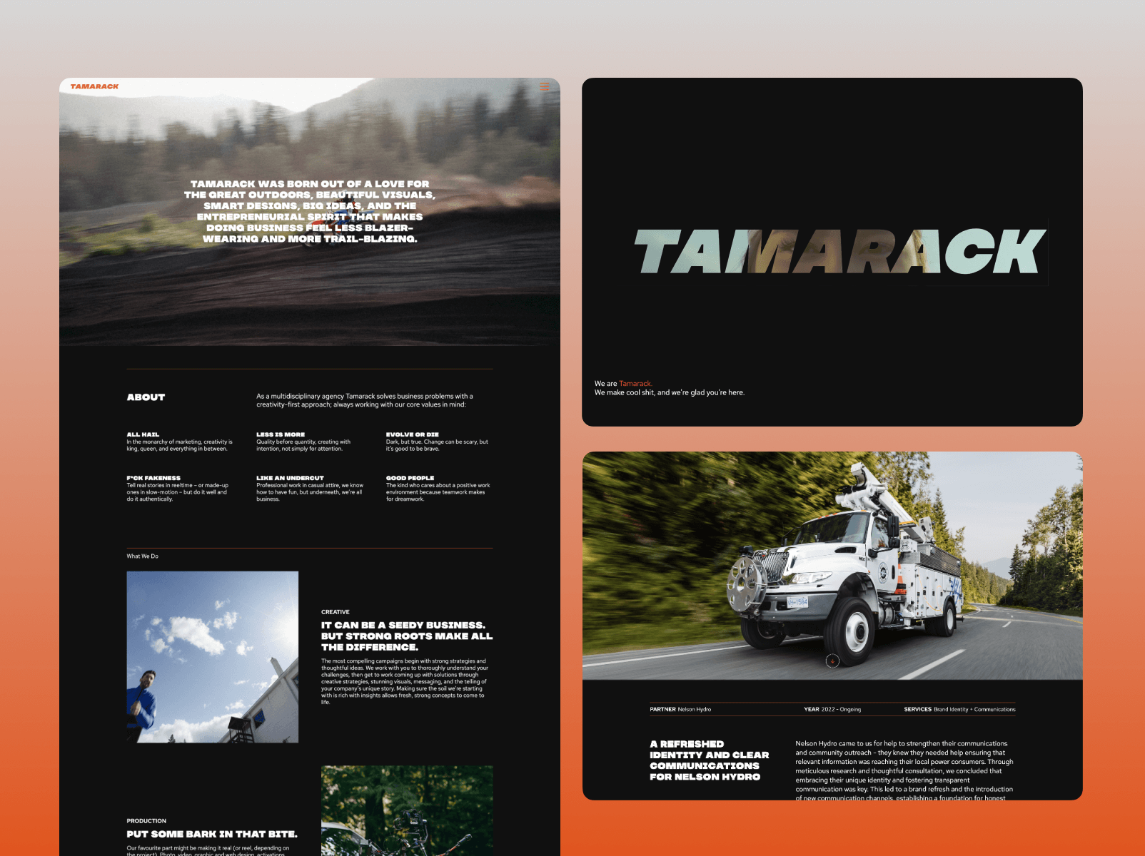 Tamarack Media image 1