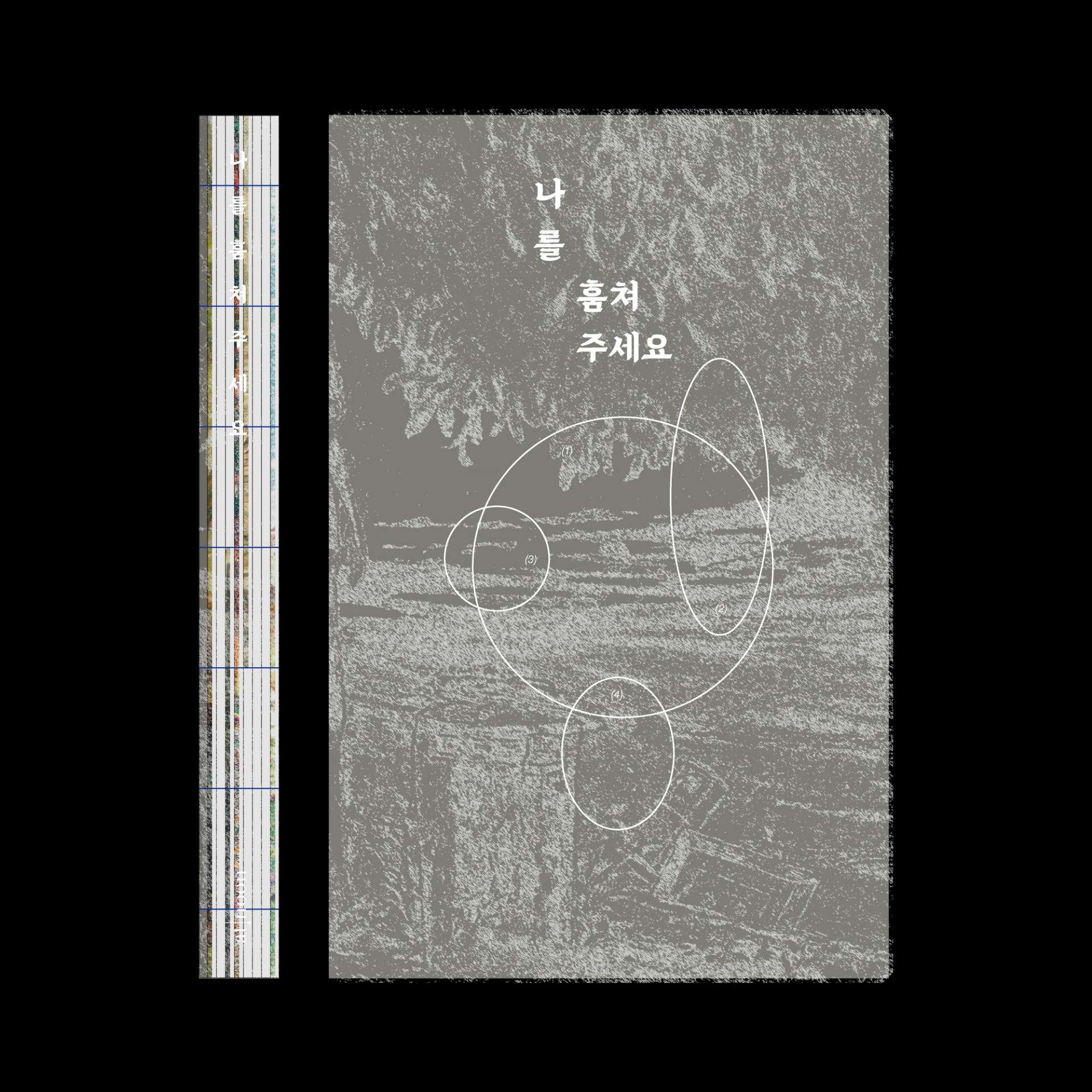 image of the lab project Steal me